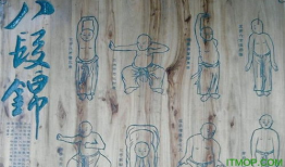 八段锦功法教学视频,轻松入门，养生保健一步到位