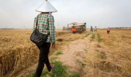 寸草不留,荒芜之地的重生与希望