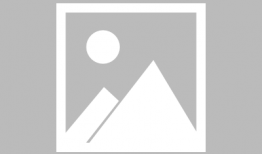 捡蘑菇视频,跟随视频一起捡蘑菇之旅